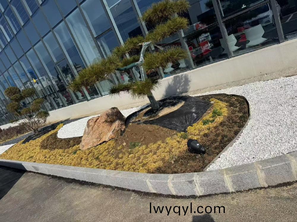 宿遷(qian)某瑞森(sen)企業(yè)(ye)廠房(fang)內(nèi)(nei)部綠化